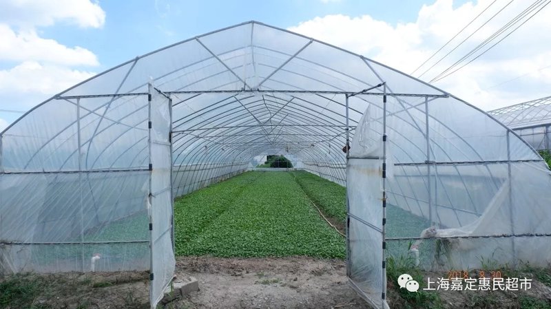 水果批发市场的选择：新手指南